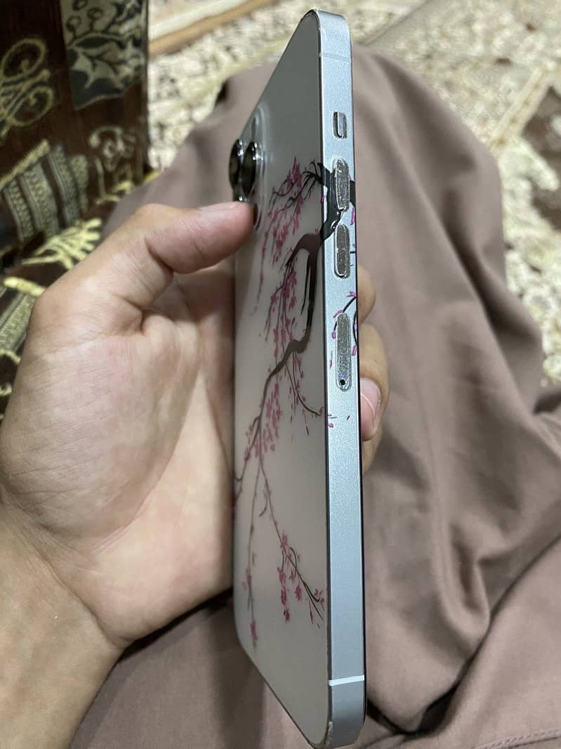 IPHONE 13 PRO MAX 5