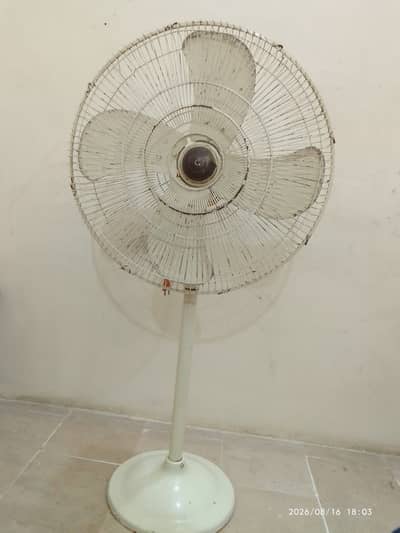 Royal pedestal fan