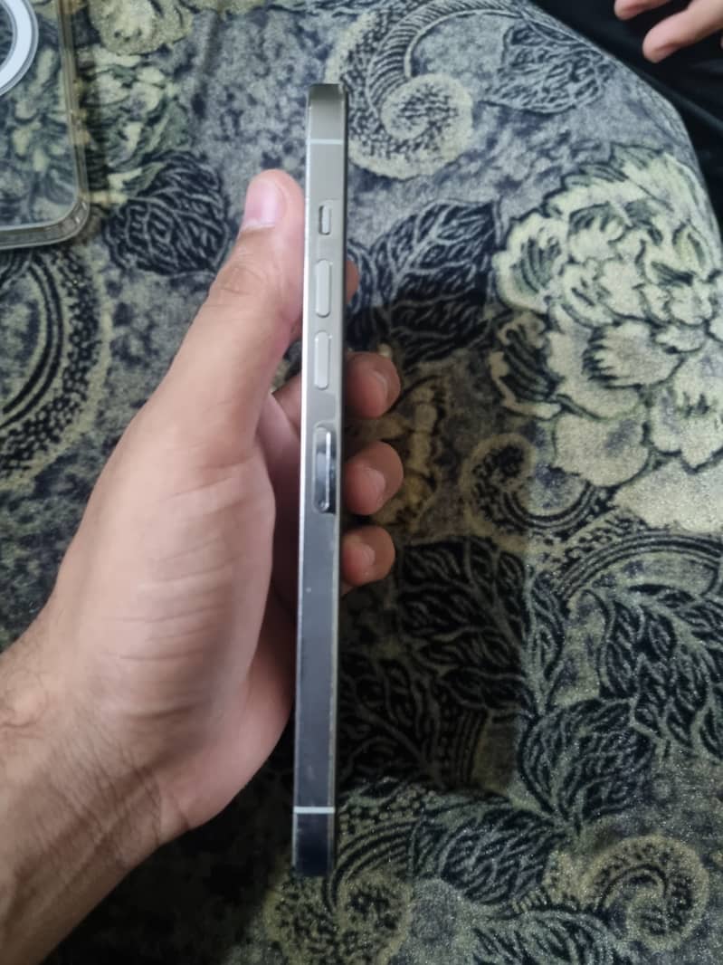 Apple iPhone 13 Pro Max 1