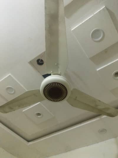 Ac DC fan for sell
