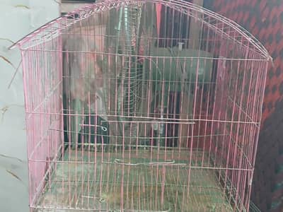 parrot cage