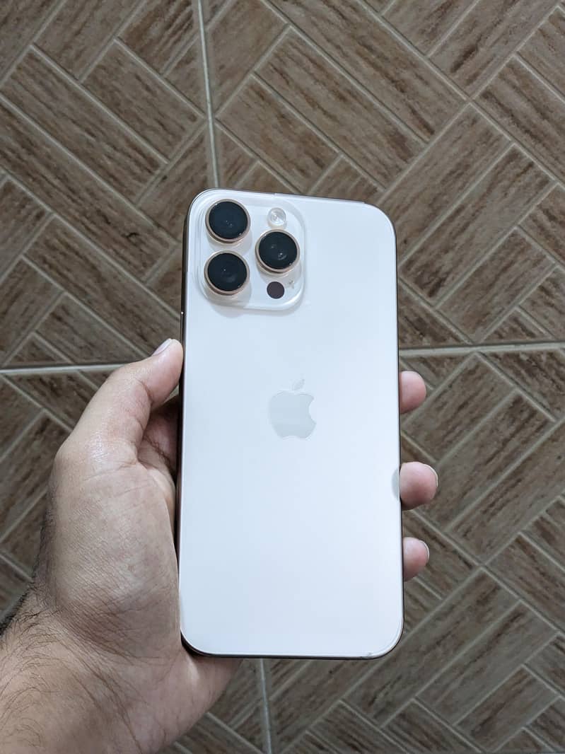 Apple iPhone 16 Pro Max 1