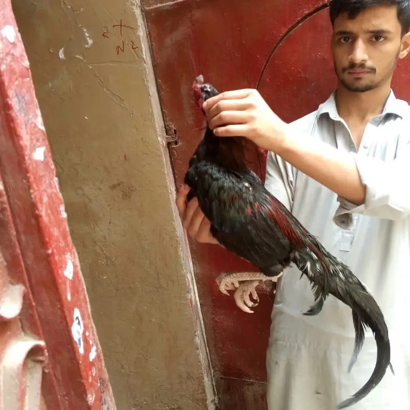 mia wali — photo 4