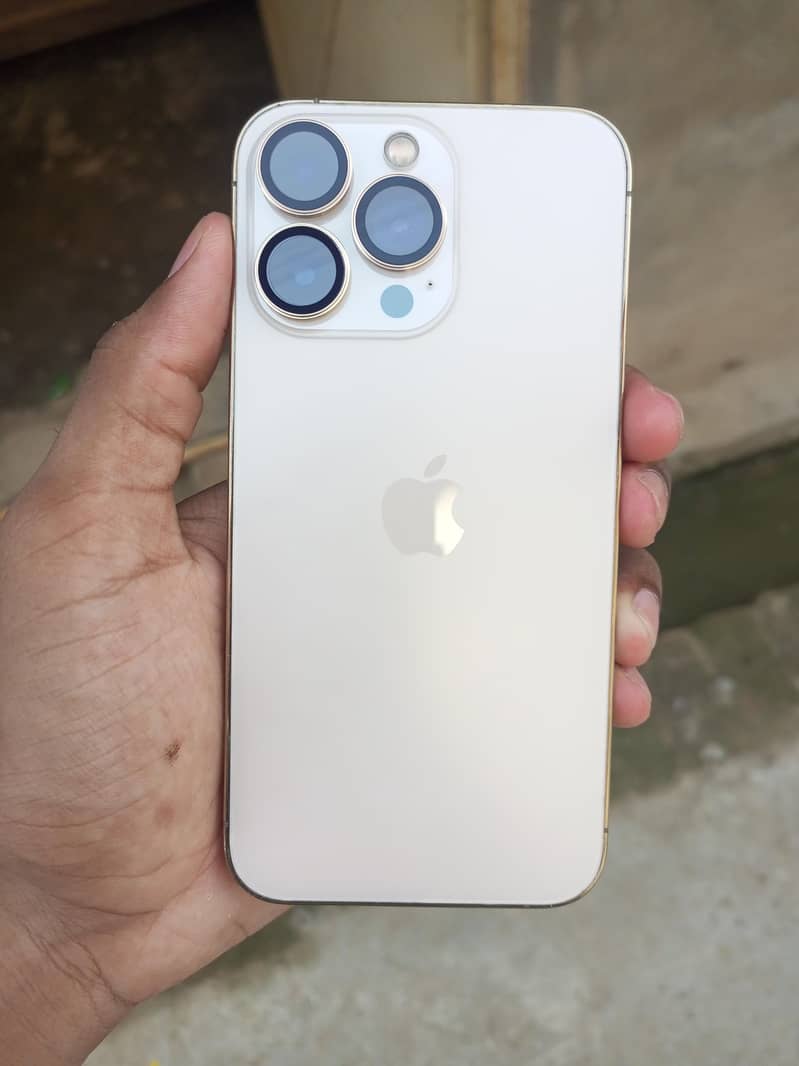 iPhone 13 Pro 1