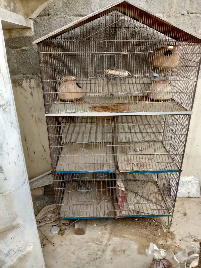 iron cage — photo 2
