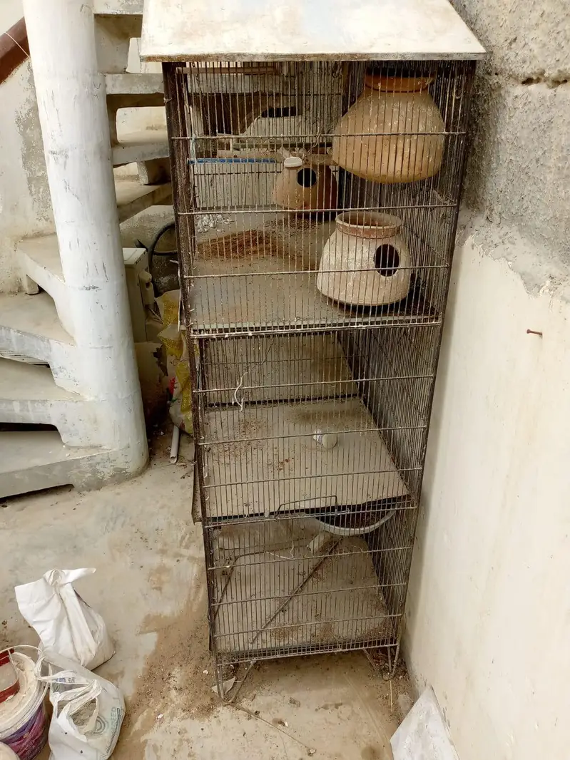 iron cage — photo 3