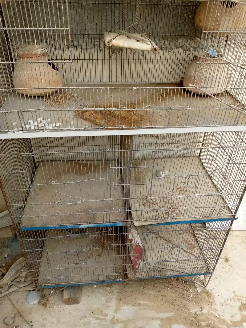 iron cage — photo 4