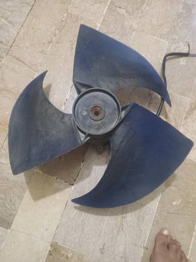 selling fan