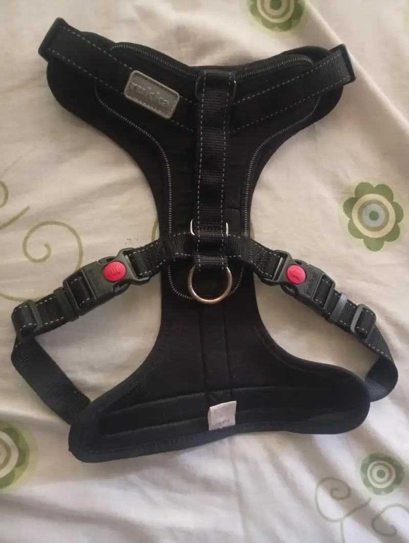 Dogs puppies cats collers harness & Leaches — photo 11