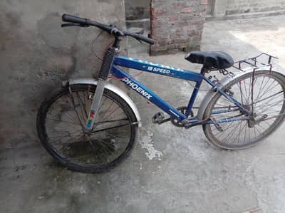 bicycel phoenix