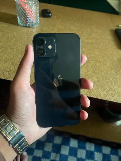 Apple iPhone 12 water pek