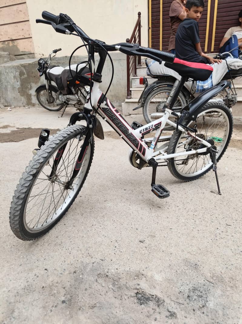 Morgan cycle 3
