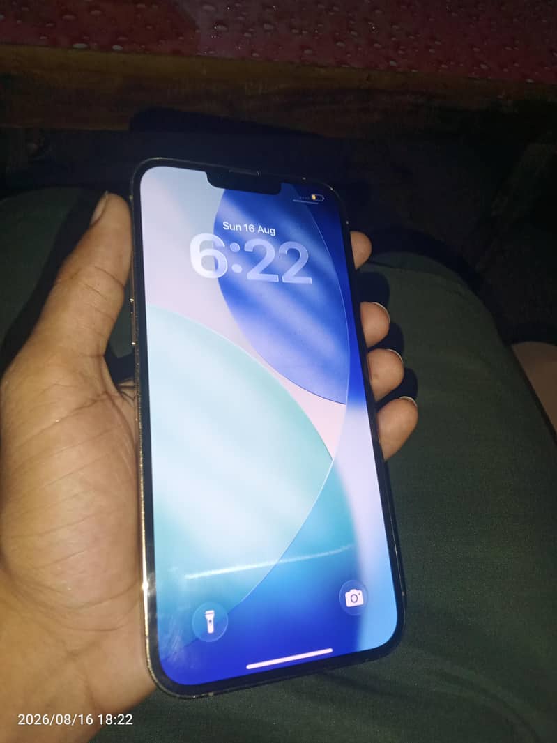 Apple iPhone 13 Pro Max 1