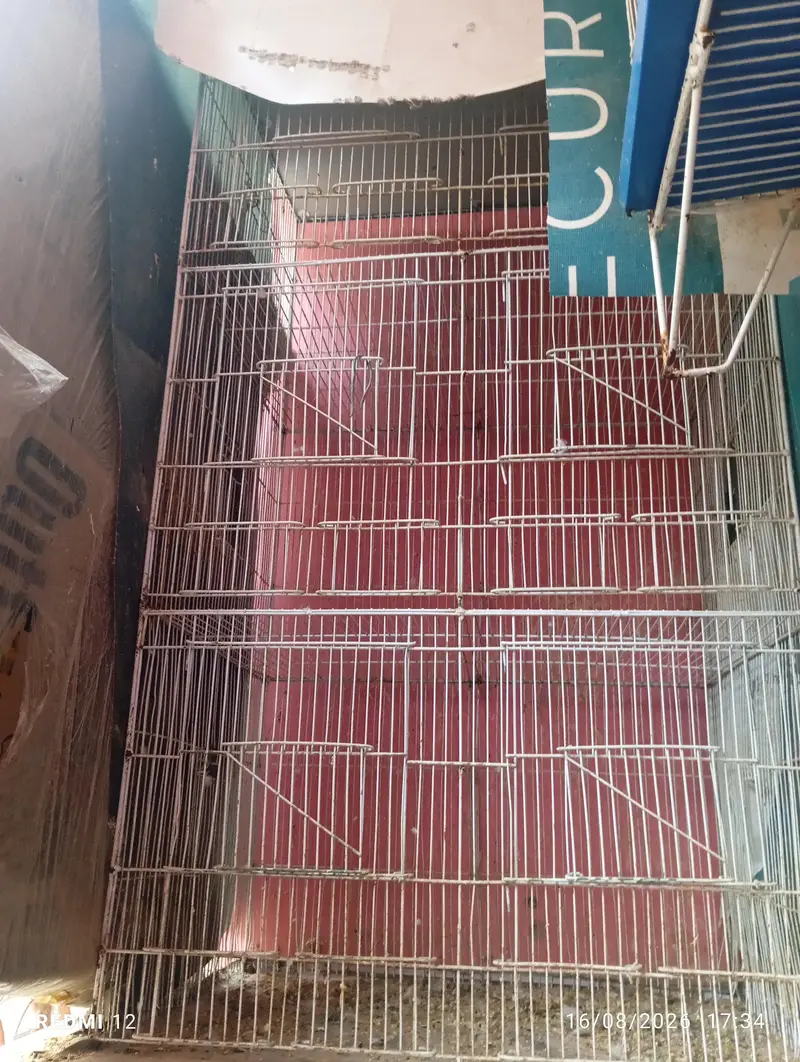 2 cages 1 is 5 portion cage and 1 is 3 portion — photo 2