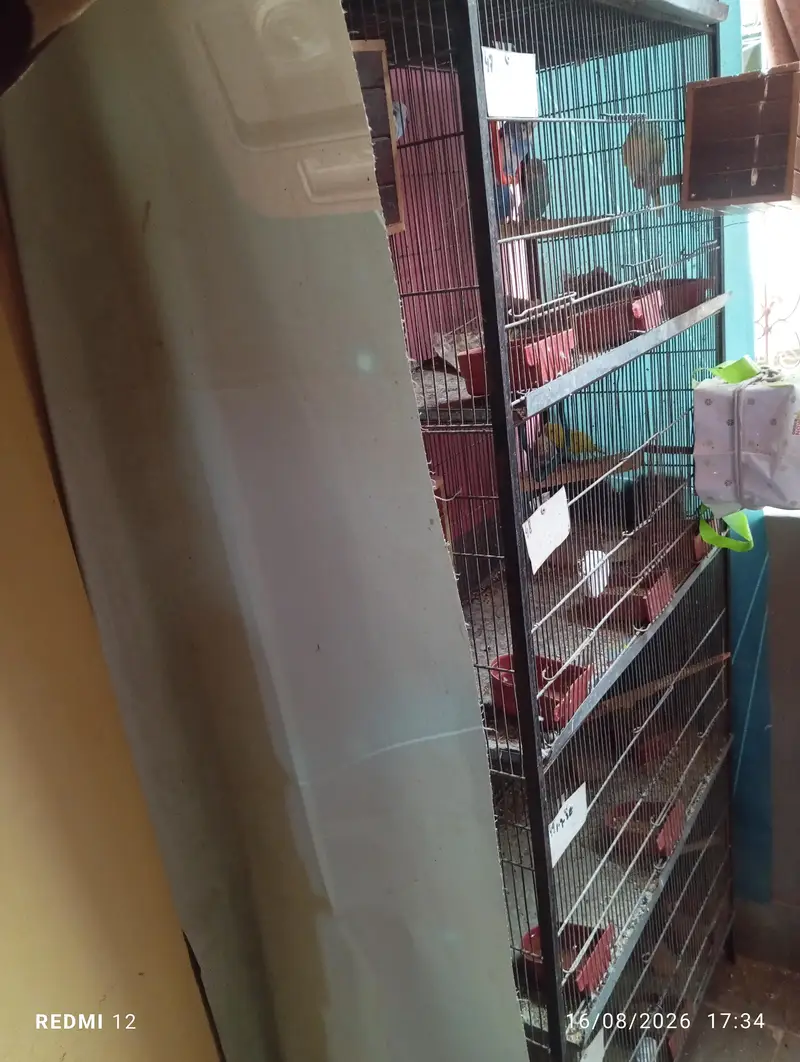 2 cages 1 is 5 portion cage and 1 is 3 portion — photo 5