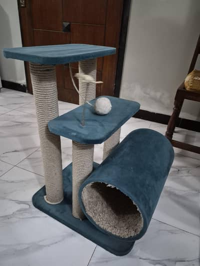 cat scratcher / tree