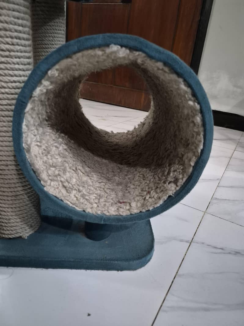 cat scratcher / tree 6