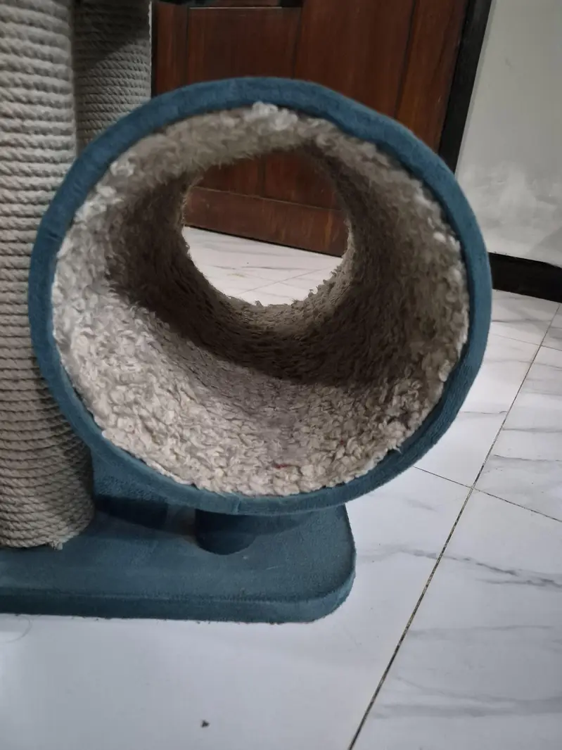 cat scratcher / tree — photo 7