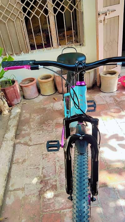 Cycle