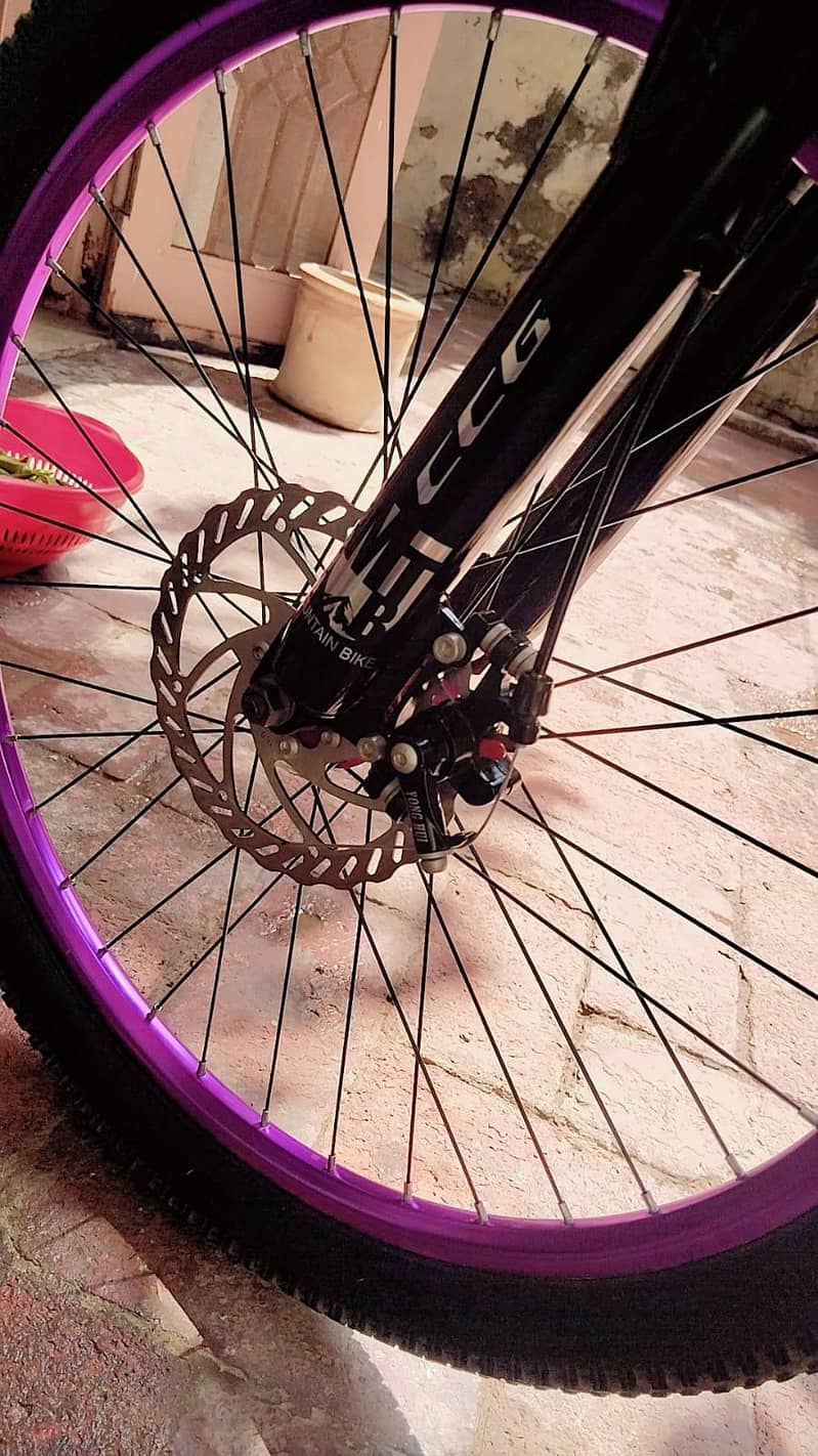 Cycle 2