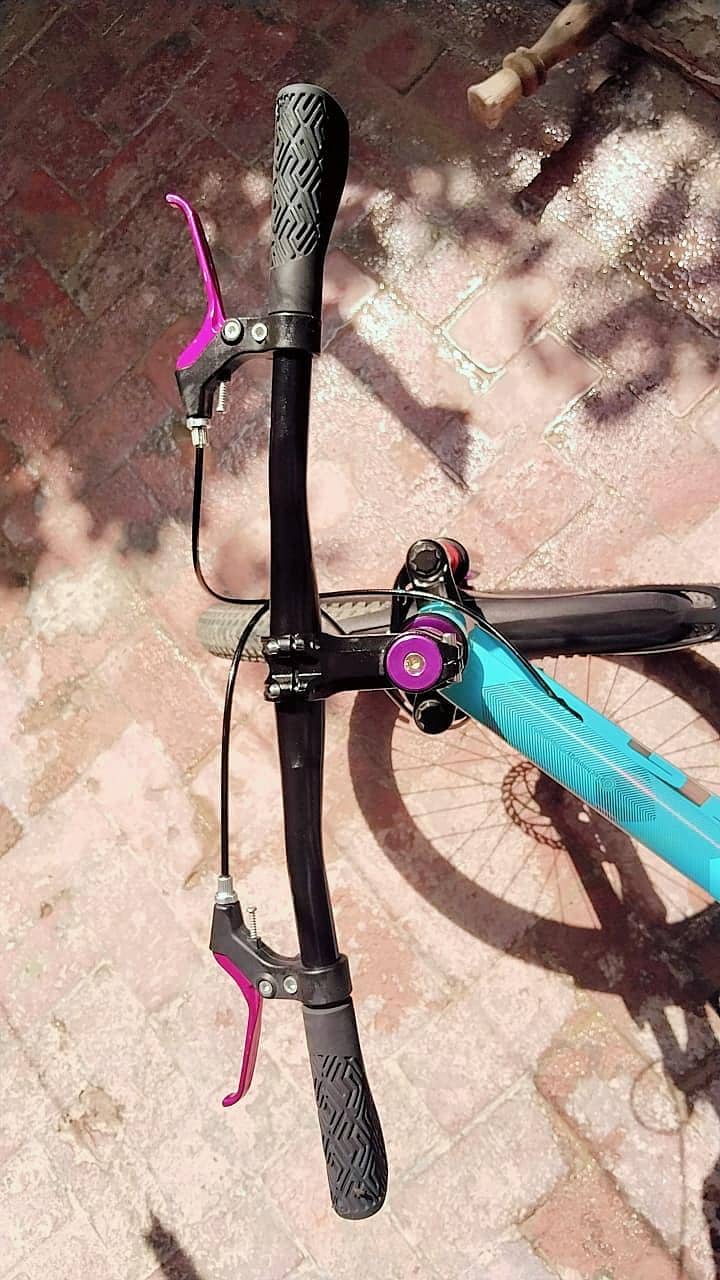 Cycle 4
