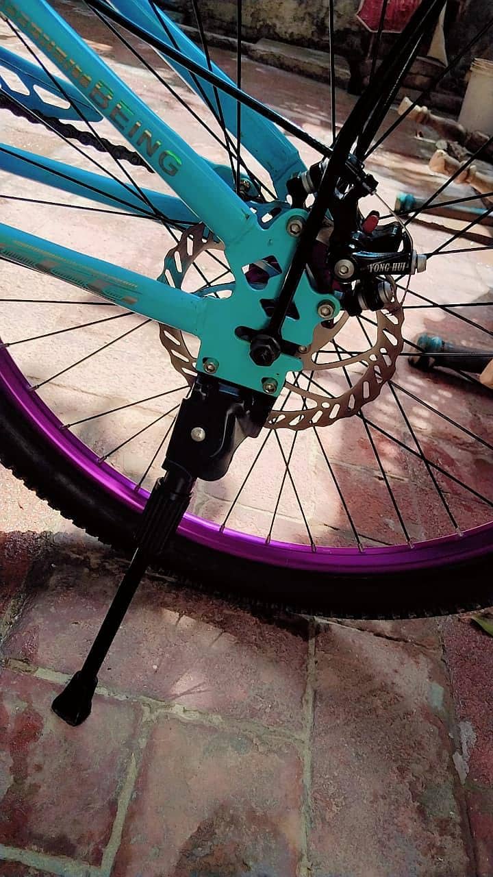 Cycle 7