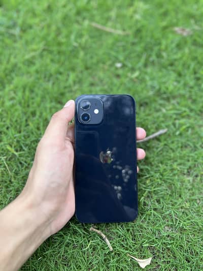 Iphone 12 JV