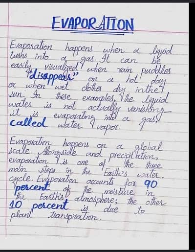 assignment writing