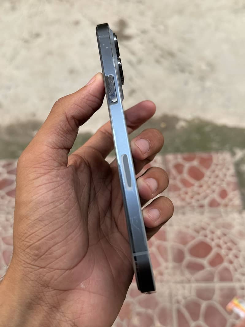 13 Pro Max MDM 1