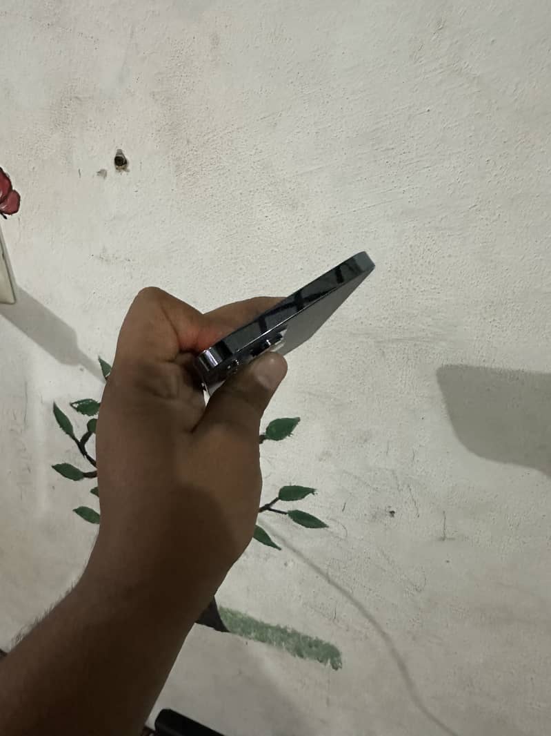 Apple iPhone 12 Pro Max 1