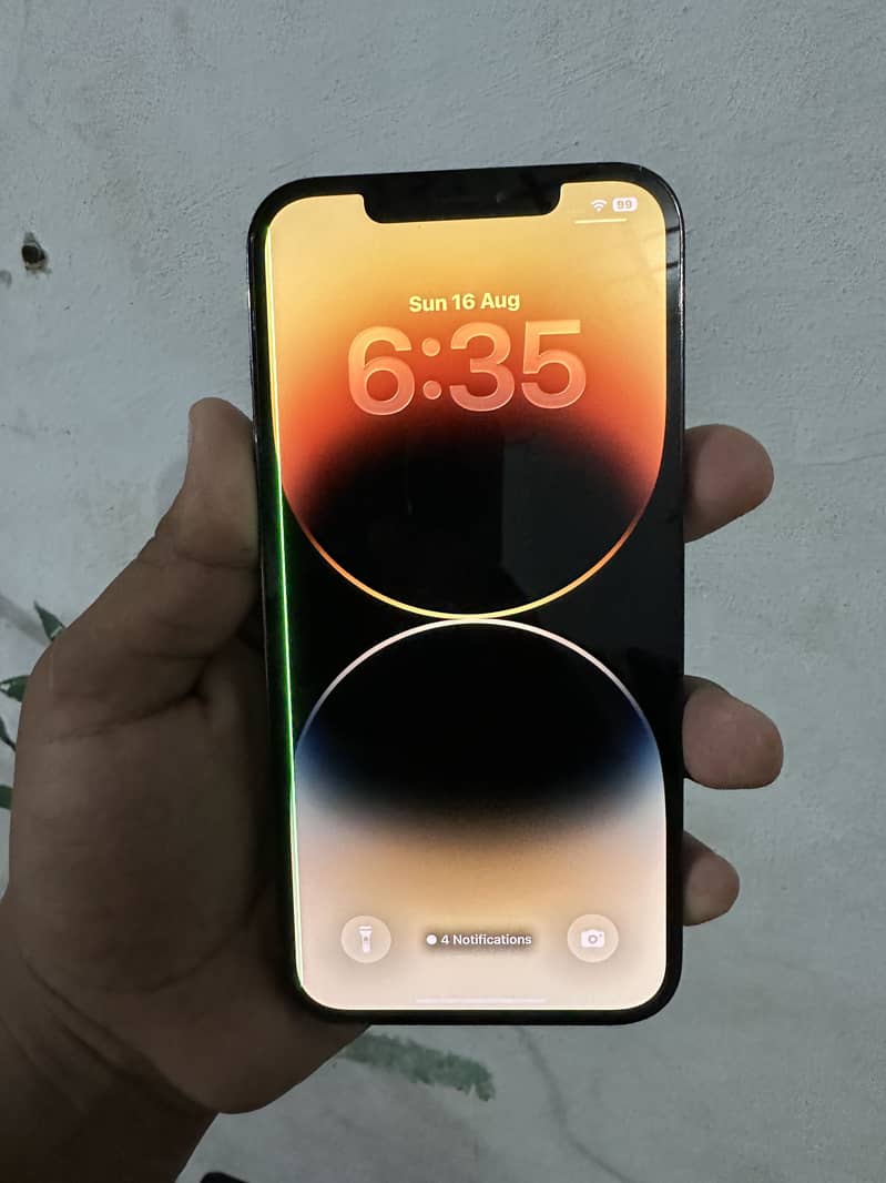 Apple iPhone 12 Pro Max 2