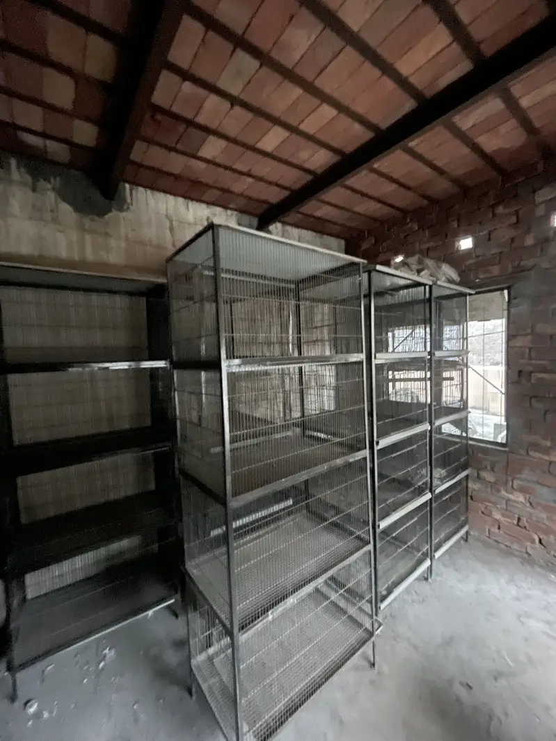 4 story 2x2 and 3x3 cages for sale or exchange — photo 3