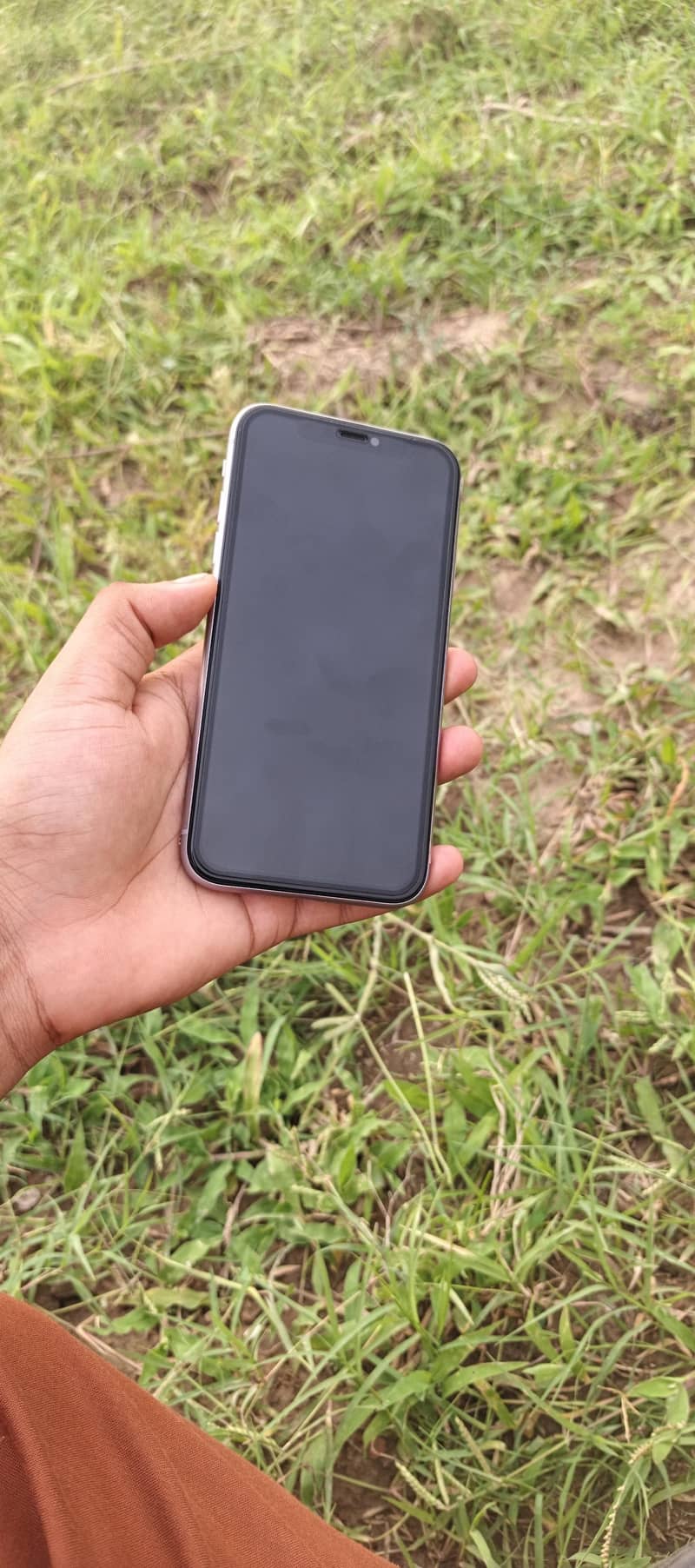 Apple iPhone 11 0