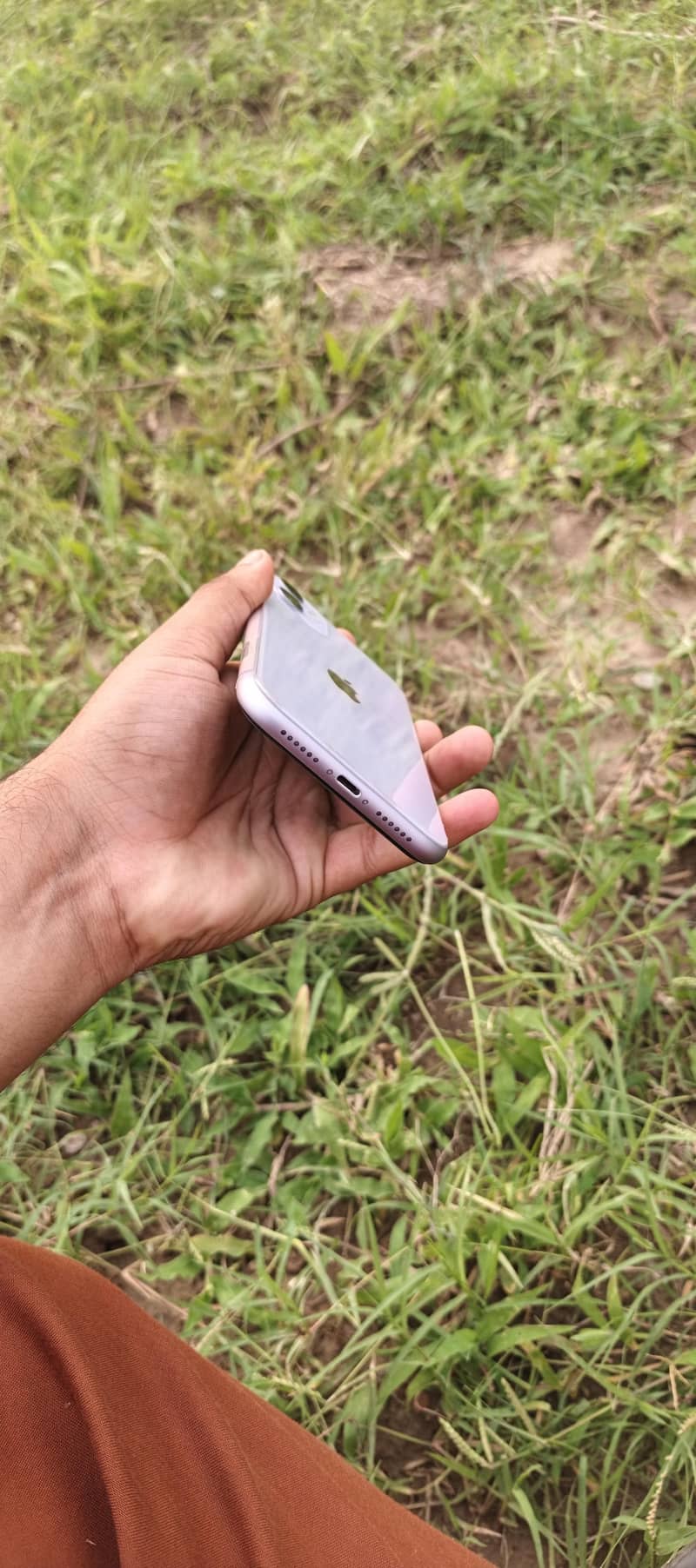 Apple iPhone 11 1
