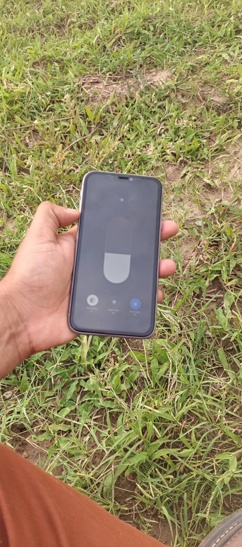 Apple iPhone 11 3
