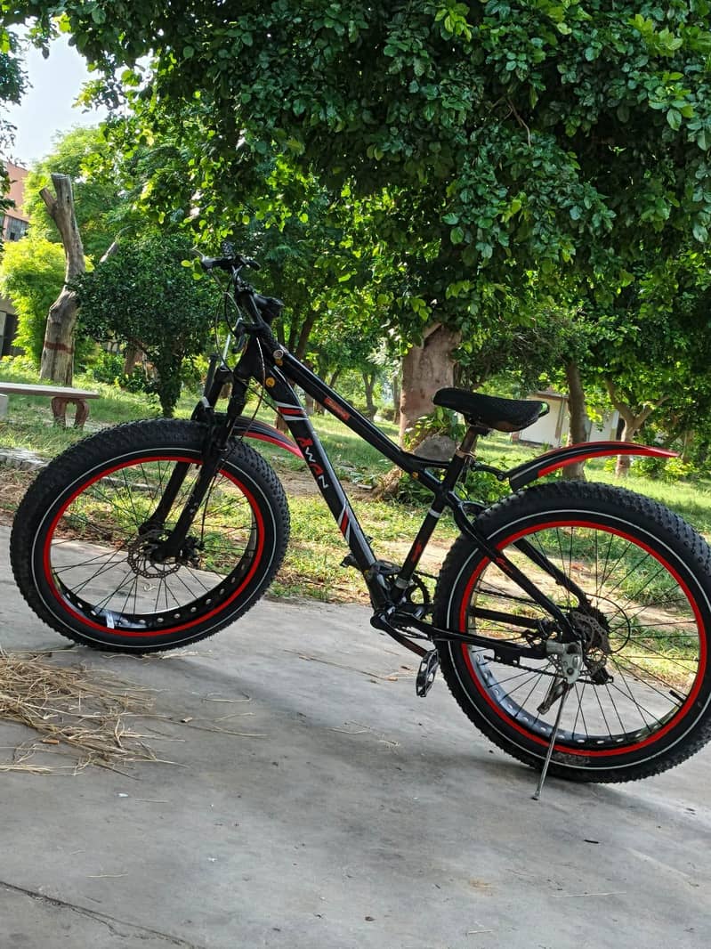 Fat tyre 2