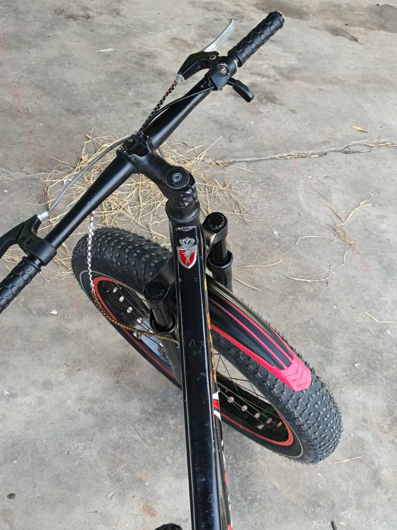 Fat tyre 3