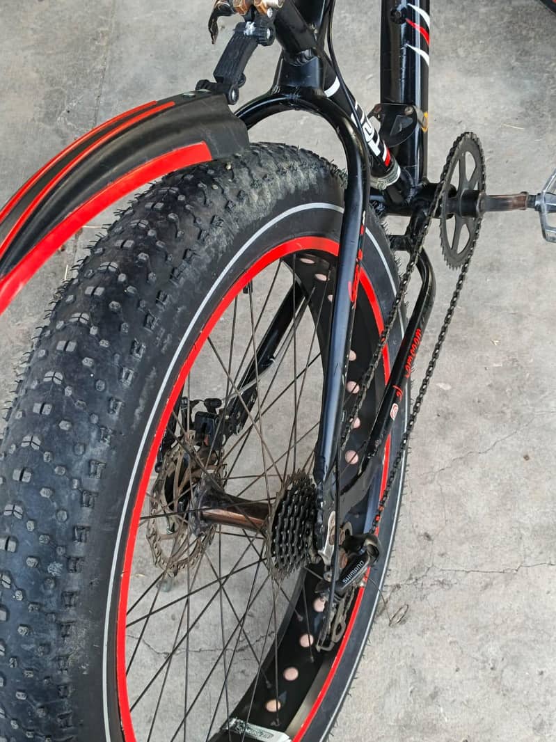 Fat tyre 4