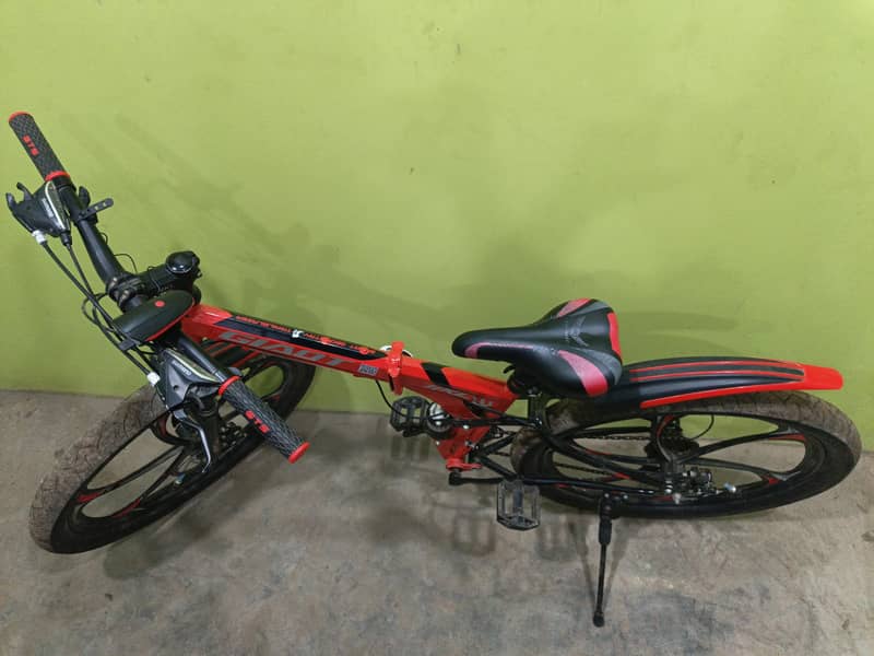 Giant Cycle 1