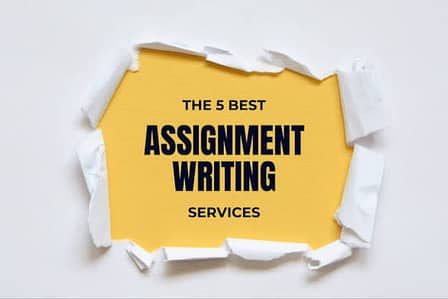 Assignment writting article writting anything