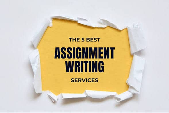 Assignment writting article writting anything 0