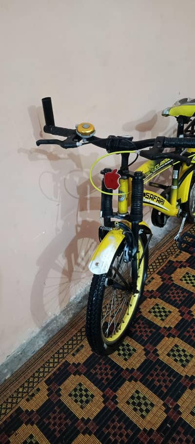 Classic Astro Safari Bicycle
