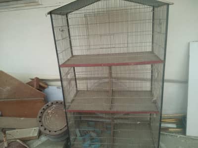 Birds cage