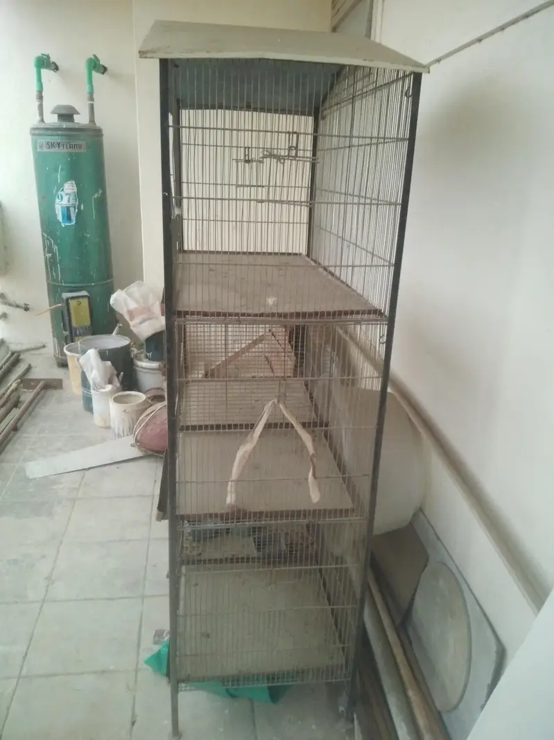 Birds cage — photo 3