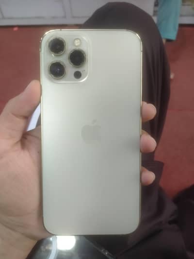 12pro Max