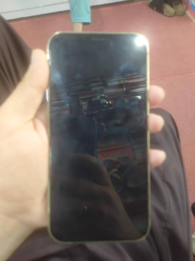 12pro Max 1