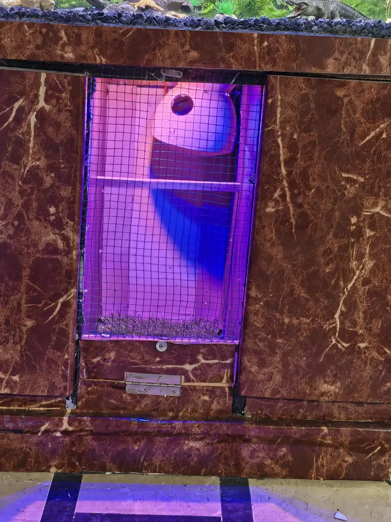 Complete Aquarium Fishes Tank — photo 4