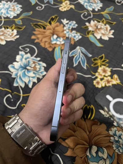 13 pro