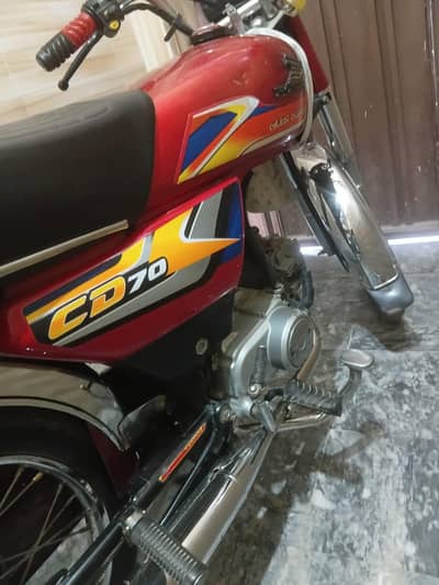 New Asia 70cc 2024 model