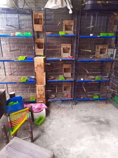 cages for sale